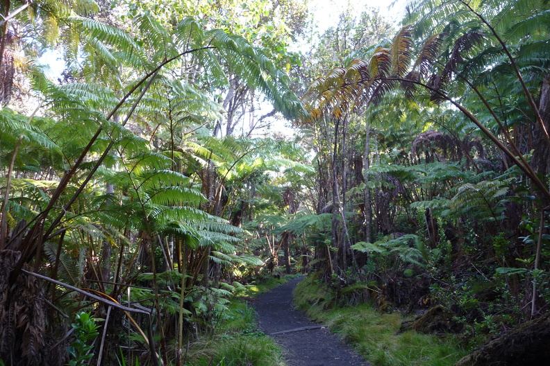 Am Kilauea P1030832.JPG