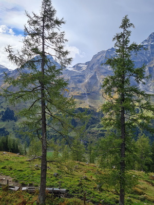 Auf dem Weg zum Großglockner