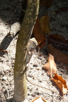 P1030035