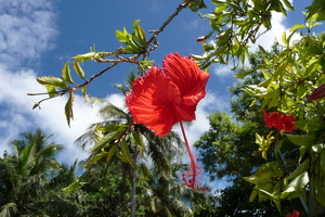 P1030040