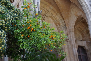  Sóller