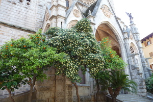  Sóller