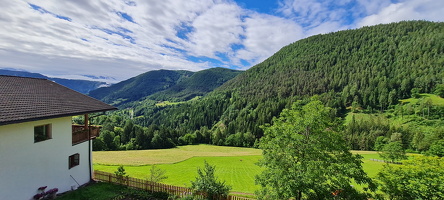 Ausblick