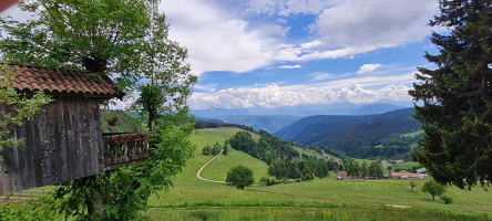 Rundwanderweg Flaas