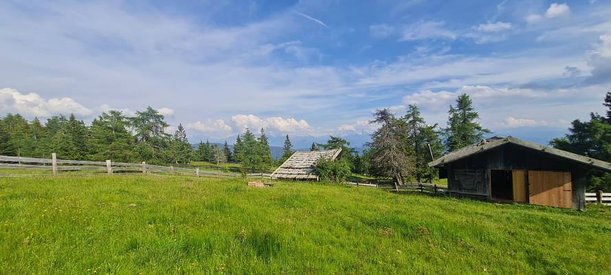 Auf der Alm