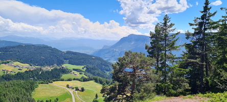 Knottnkino
