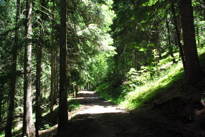Knottnkino