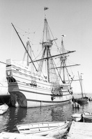Mayflower