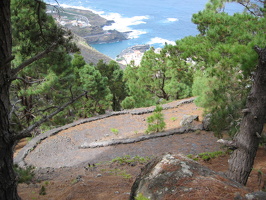 Garachico