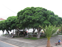 Garachico