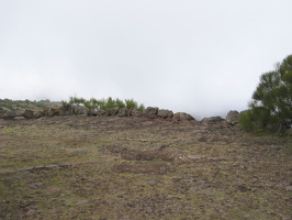 img 3598