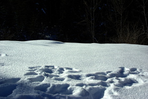 Bödele