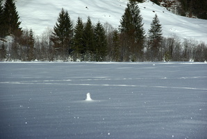 Nach Schönenbach