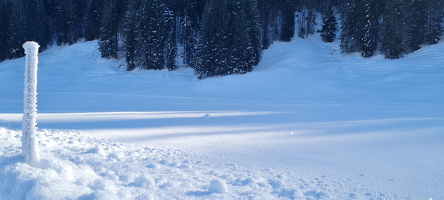Nach Schönenbach